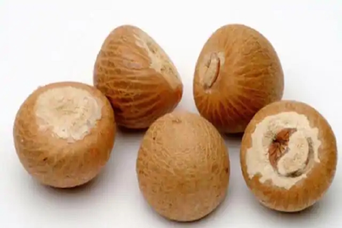 Betel Nut